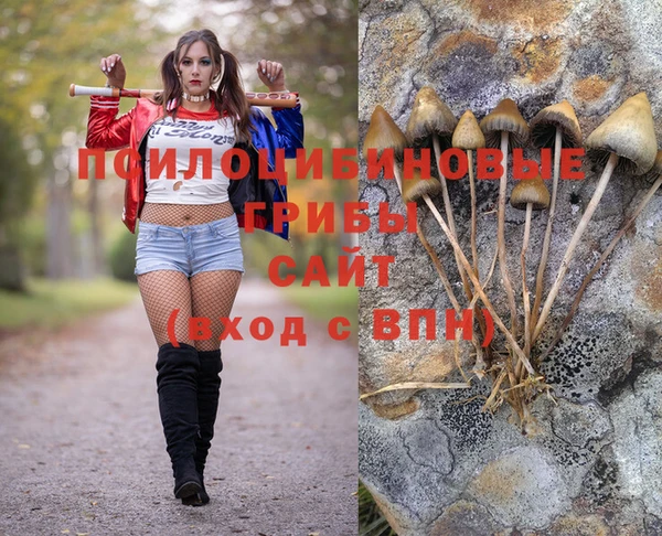 эйфоретик Арсеньев