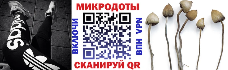 мега tor  как найти наркотики  Чудово  Галлюциногенные грибы MAGIC MUSHROOMS 